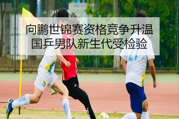 向鹏世锦赛资格竞争升温 国乒男队新生代受检验